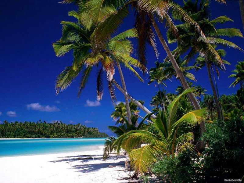 files/more exotik/Maldivi.jpg